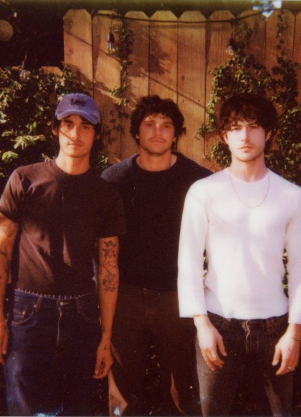 Wallows